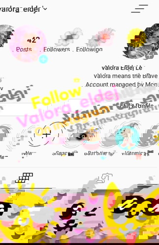 Instagram account