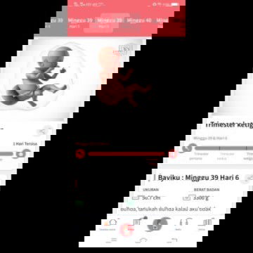 menunggu kehadiran buah hati