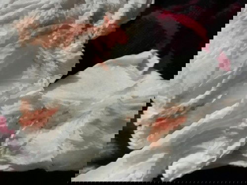 hb keluar darah pasca melahirkan