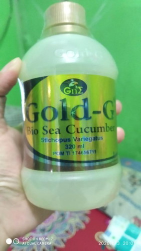 hai bunda