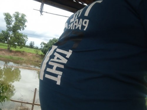7เดือน