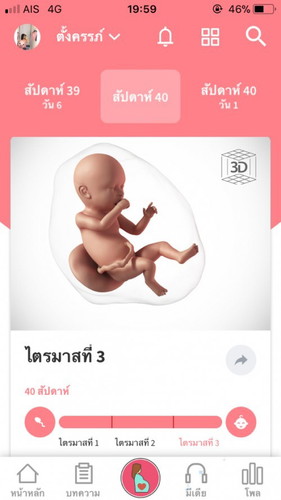 ทีมสิงหา