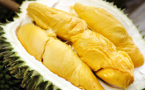Mẹ bầu có nên ăn sầu riêng không?