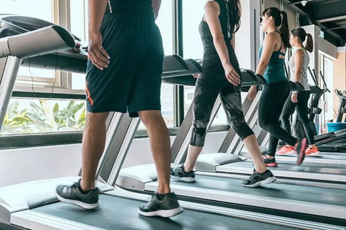 How often do you work out?