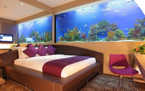 Would you ever go on a staycation?