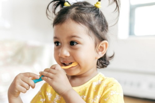 Do you let your toddler brush his/her teeth by himself/herself?