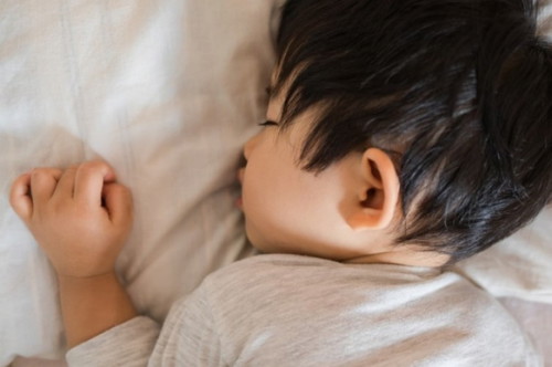 How many naps does your toddler have daily?
