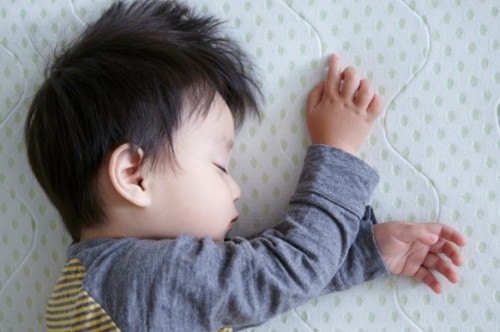 Does your child have a fixed bedtime schedule?