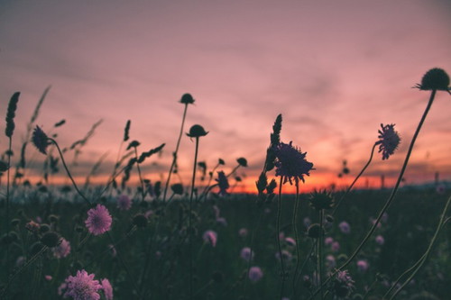 Do you prefer sunrises or sunsets?