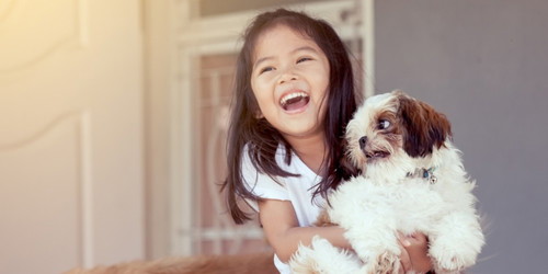 Which pets do you prefer having in the house?