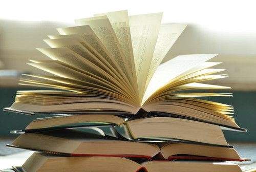 Anong klaseng libro ang paboritong basahin?