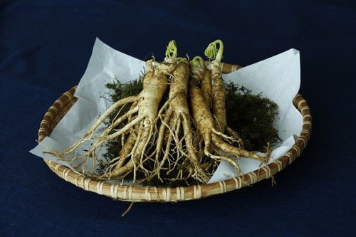 Naniniwala ka ba na nakatutulong ang ginseng upang mapataas anag fertility late ng isang lalaki?