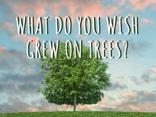 If only money grew on trees...