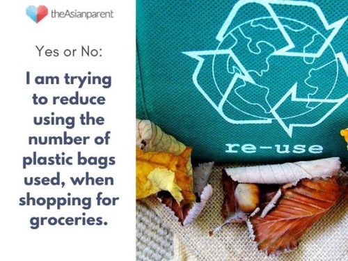 How I reduce the usage of plastic bags ...