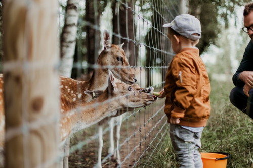 Antara zoo dan akuaria, mana satu anda pilih untuk bawa anak dan keluarga?