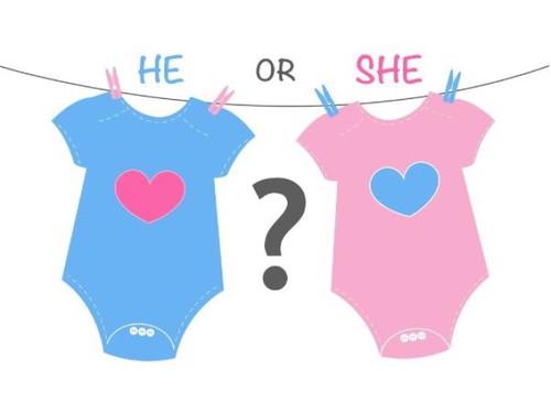 Did you guess your baby's gender?