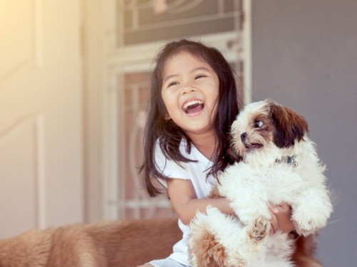 Would you want your child to grow up with pets?