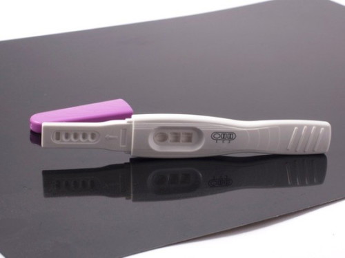 Before deciding to take the pregnancy test, which early signs of pregnancy
did you experience?