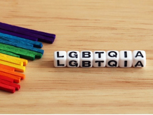 Do you know what does LGBTQIA+ means?