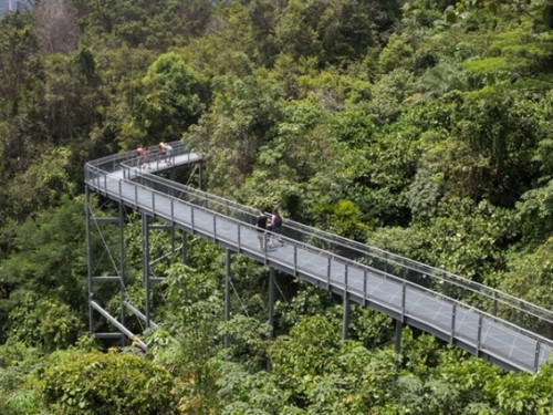 Have you hiked in Singapore before?
