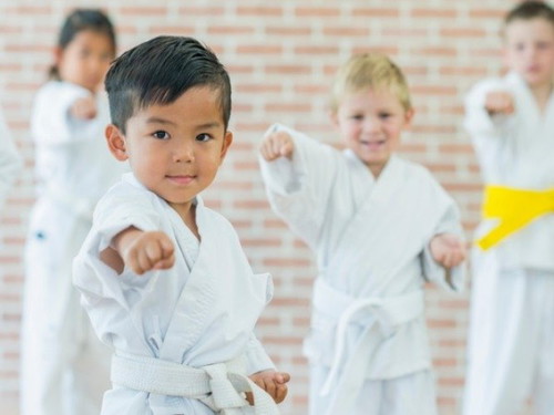 What type of martial arts would you want your child to learn?