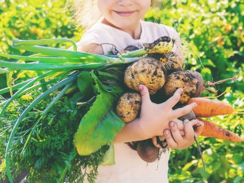 What attracts your attention in a baby nutrition advertisement?