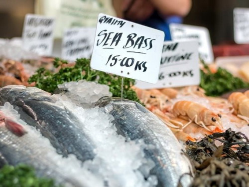 Is there a difference in terms of taste, when buying fresh or frozen fish?