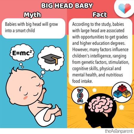 Naniniwala ka ba na kapag mas malaki ang ulo ni baby, magiging matalino siya?