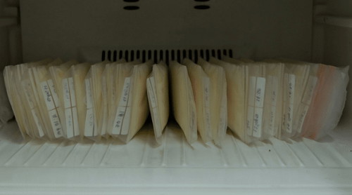 What do you with your excessive pumped breast milk?