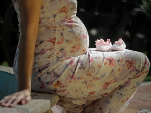 Which trimester of pregnancy is the most important? Comment the reason.