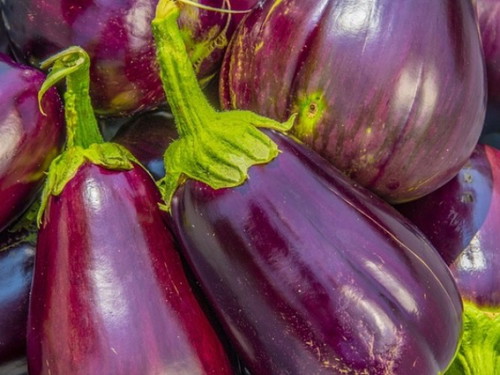 True or false: Eating eggplant during pregnancy will cause the newborn's skin to be dark.