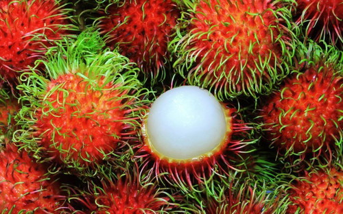 Pilih 1 buah-buahan untuk anda teruskan hidup.