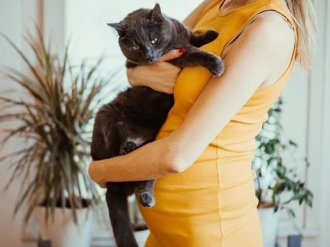 Bolehkah pelihara kucing saat hamil?