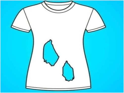 How many holes you can see on the below T-shirt?