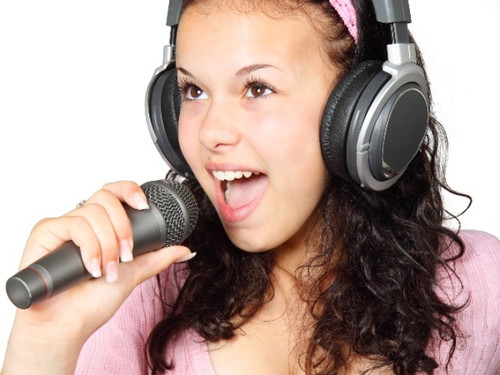 If you were in the entertainment field, you would be a …