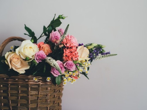 Which flower do you prefer?