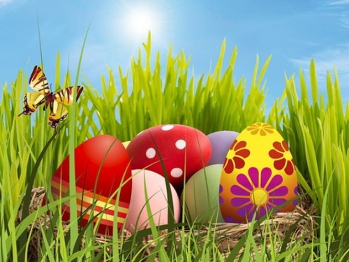 How many eggs you can see in the image?