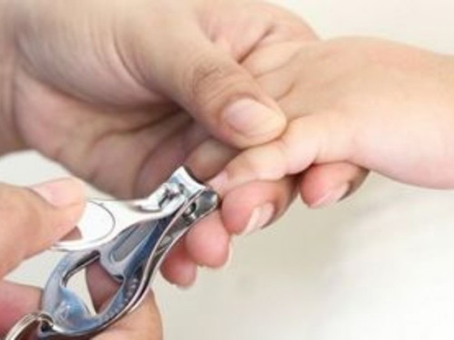 I cut my newborn’s nails when he/she is …