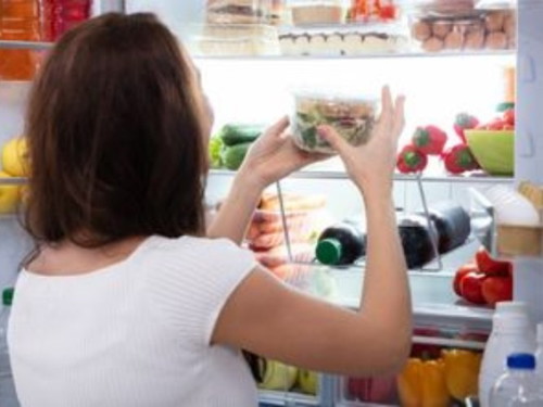 Can you live without a refrigerator?