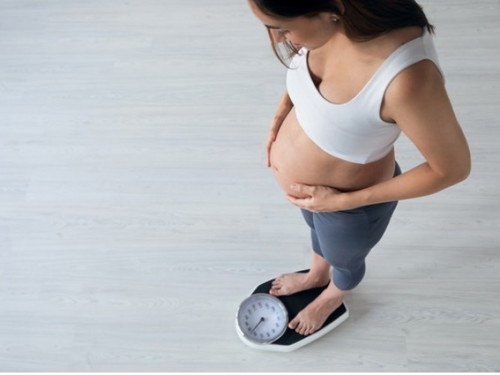Which trimester did you gain the most weight?