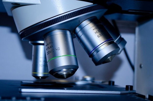 Have you ever had a Pap smear?