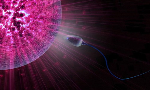 Alam mo ba kung gaano katagal ang buhay ng sperm cell sa labas ng katawan?