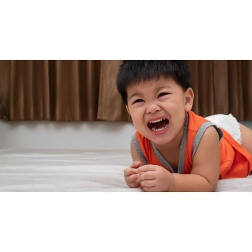 Is your toddler constantly crying?