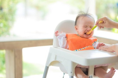 Ini risiko yang harus Bunda waspadai 
<a href='https://id.theasianparent.com/bahaya-mpasi-dini/web-view/?poll=post' target='_blank' >https://id.theasianparent.com/bahaya-mpasi-dini/web-view/?poll=post</a>