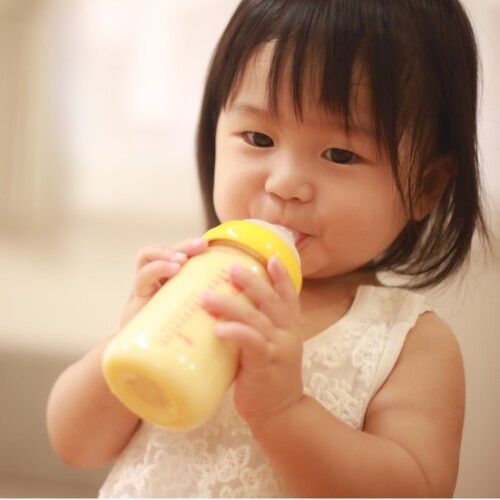Best Stage 4 Infant Formula 🥛