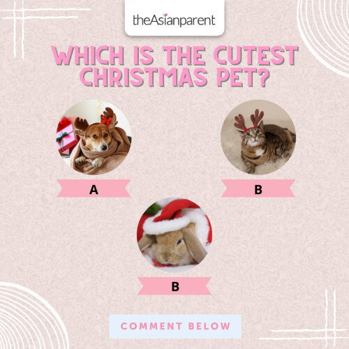 Which is the cutest Christmas pet? 🐶🐱