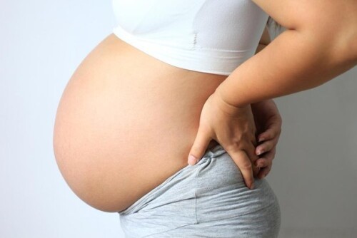 Pregnancy 101