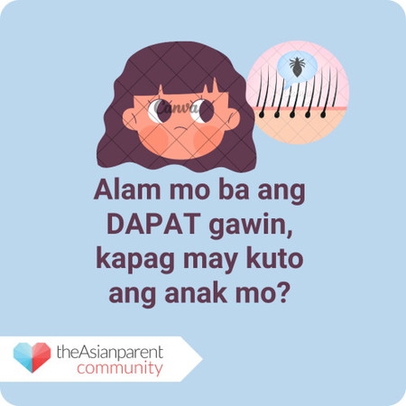 Paano Mawala Ang Mga Kuto At Lisa? 7 Paraan Na Dapat Alam ng Parents
<a href='https://ph.theasianparent.com/paano-mawala-ang-kuto-at-lisa' target='_blank' >https://ph.theasianparent.com/paano-mawala-ang-kuto-at-lisa</a>