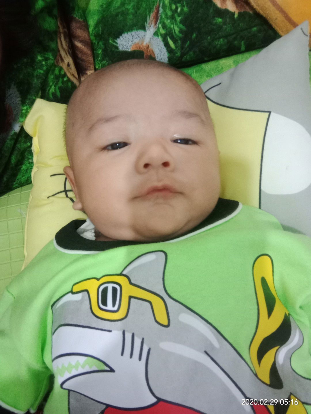 kapan bayi bisa tengkurap