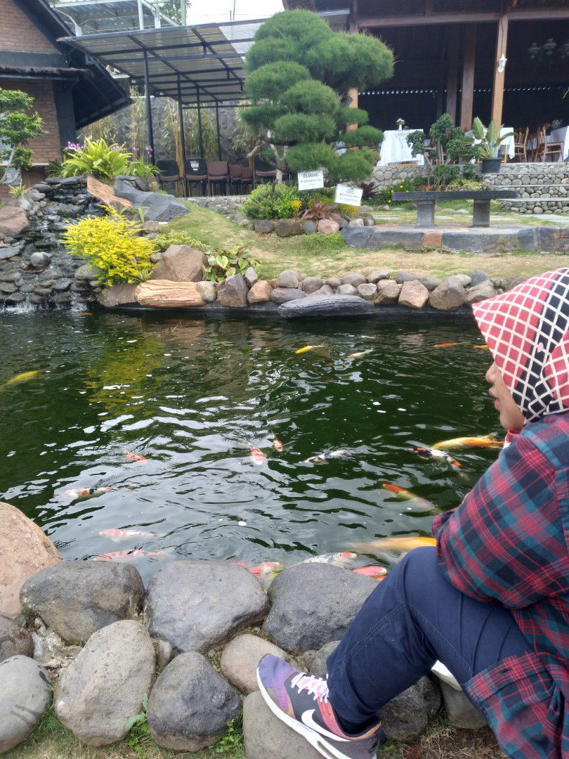 Rita Satri profile icon